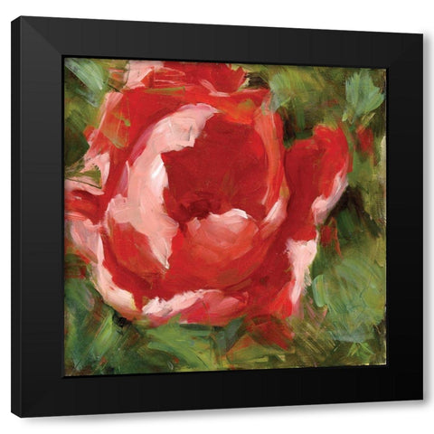 Tulip Black Modern Wood Framed Art Print with Double Matting by Salness, Annie