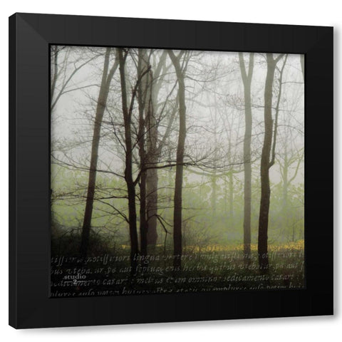Partners III Black Modern Wood Framed Art Print with Double Matting by Studio 2