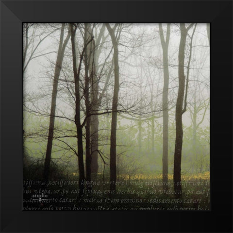 Partners III Black Modern Wood Framed Art Print by Studio 2