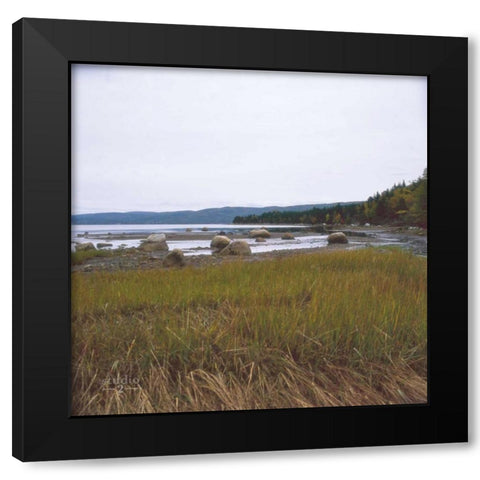 Estuary I Black Modern Wood Framed Art Print with Double Matting by Studio 2