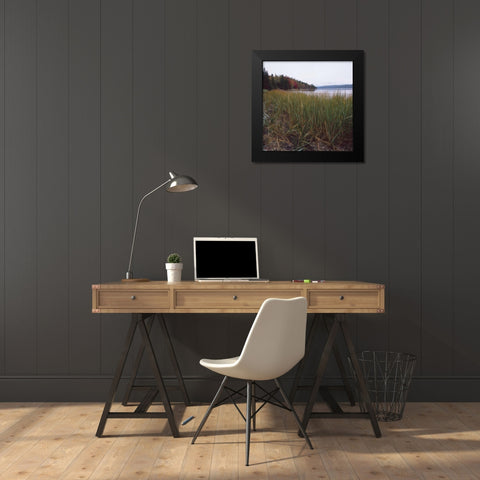 Estuary II Black Modern Wood Framed Art Print by Studio 2