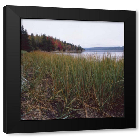 Estuary II Black Modern Wood Framed Art Print by Studio 2