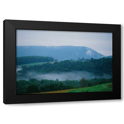 Nestled In II Black Modern Wood Framed Art Print by Studio 2