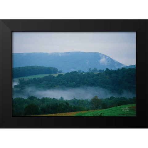 Nestled In II Black Modern Wood Framed Art Print by Studio 2