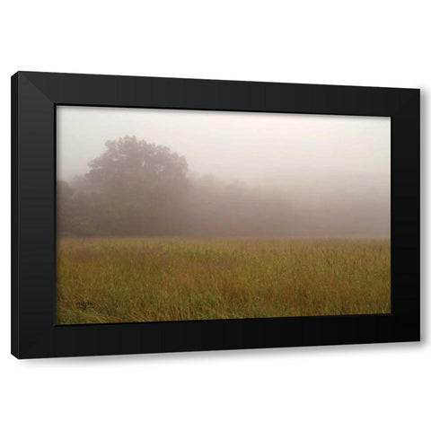 Misty Morning I Black Modern Wood Framed Art Print by Studio 2