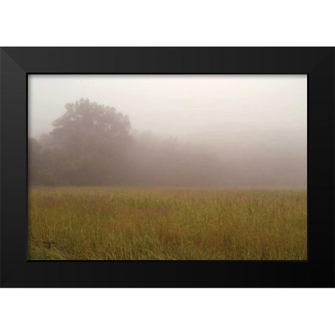 Misty Morning I Black Modern Wood Framed Art Print by Studio 2