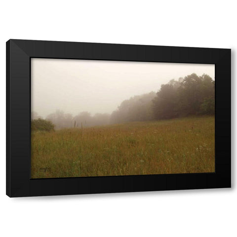 Misty Morning II Black Modern Wood Framed Art Print by Studio 2