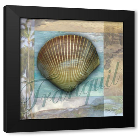 Tranquil Shell Black Modern Wood Framed Art Print by Williams, Todd