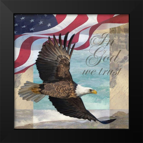 Freedom I Black Modern Wood Framed Art Print by Williams, Todd