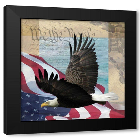 Freedom II Black Modern Wood Framed Art Print with Double Matting by Williams, Todd