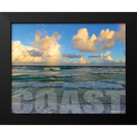 Florida Coast Black Modern Wood Framed Art Print by Williams, Todd