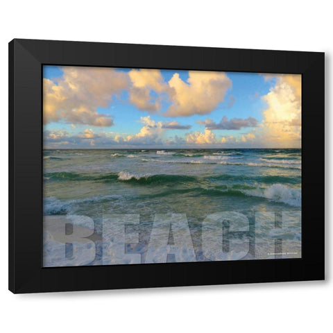 Florida Beach Black Modern Wood Framed Art Print with Double Matting by Williams, Todd