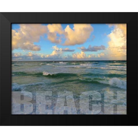 Florida Beach Black Modern Wood Framed Art Print by Williams, Todd