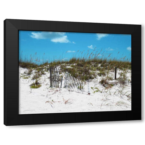 Sand Dunes II Black Modern Wood Framed Art Print with Double Matting by Williams, Todd