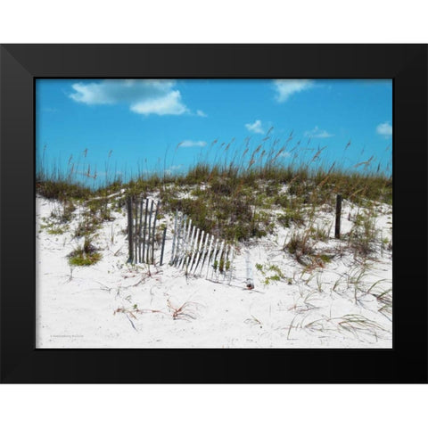 Sand Dunes II Black Modern Wood Framed Art Print by Williams, Todd