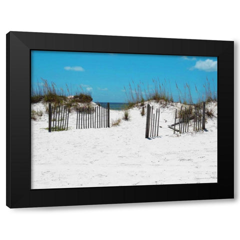 Sand Dunes III Black Modern Wood Framed Art Print with Double Matting by Williams, Todd