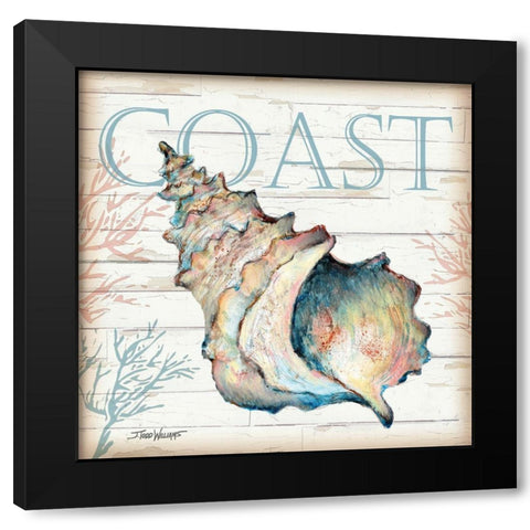 Coast Shell Black Modern Wood Framed Art Print by Williams, Todd