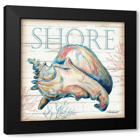 Shore Shell Black Modern Wood Framed Art Print with Double Matting by Williams, Todd