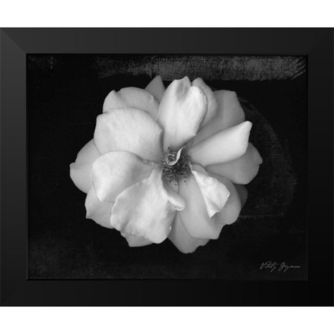 Wild Rose Black Modern Wood Framed Art Print by Geyman, Vitaly