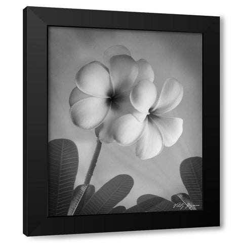 Plumeria I Black Modern Wood Framed Art Print by Geyman, Vitaly