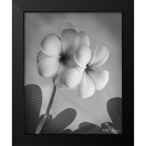 Plumeria I Black Modern Wood Framed Art Print by Geyman, Vitaly