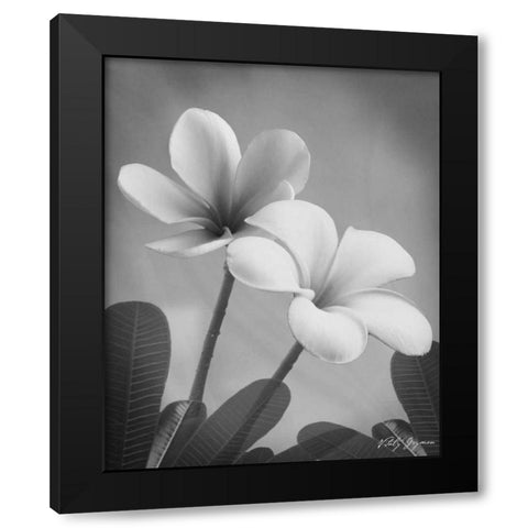 Plumeria II Black Modern Wood Framed Art Print with Double Matting by Geyman, Vitaly