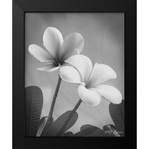 Plumeria II Black Modern Wood Framed Art Print by Geyman, Vitaly