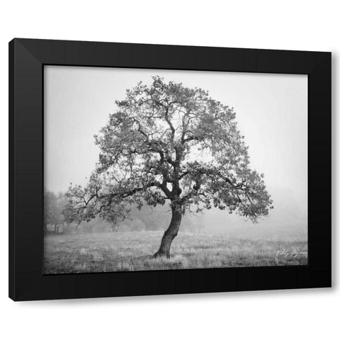 Burning Oak II Black Modern Wood Framed Art Print by Geyman, Vitaly