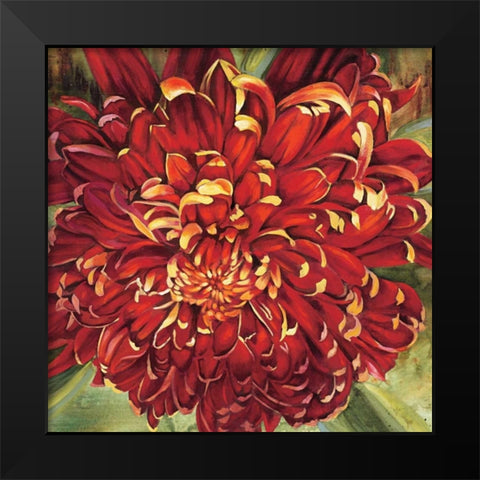 Chrysanthemum Black Modern Wood Framed Art Print by Werbelow, Selina