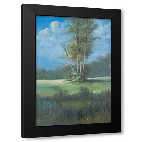 Azure Sky II Black Modern Wood Framed Art Print with Double Matting by Wacaster, Linda