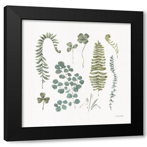 Fern Study 02 Black Modern Wood Framed Art Print with Double Matting by Audit, Lisa
