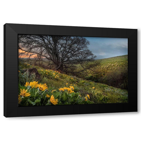 Hillside Oak Black Modern Wood Framed Art Print with Double Matting by Head, Danny