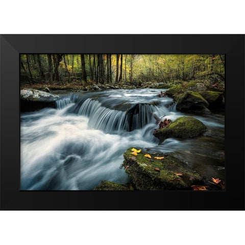 Last Light at Tremont Black Modern Wood Framed Art Print by Head, Danny