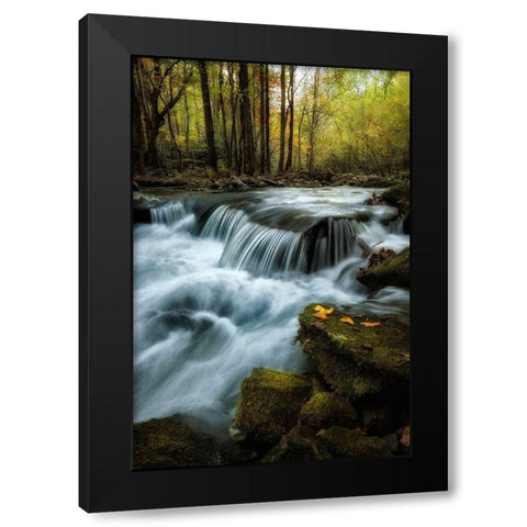Autumn Trio Black Modern Wood Framed Art Print with Double Matting by Head, Danny