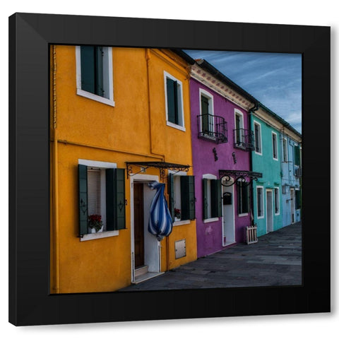 True Colors Black Modern Wood Framed Art Print by Head, Danny