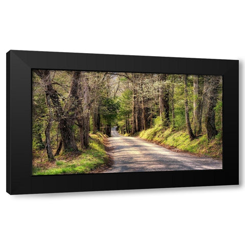 Sundays Drive Black Modern Wood Framed Art Print with Double Matting by Head, Danny