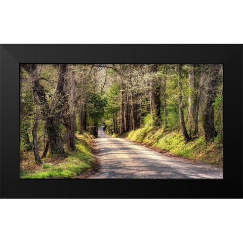 Sundays Drive Black Modern Wood Framed Art Print by Head, Danny