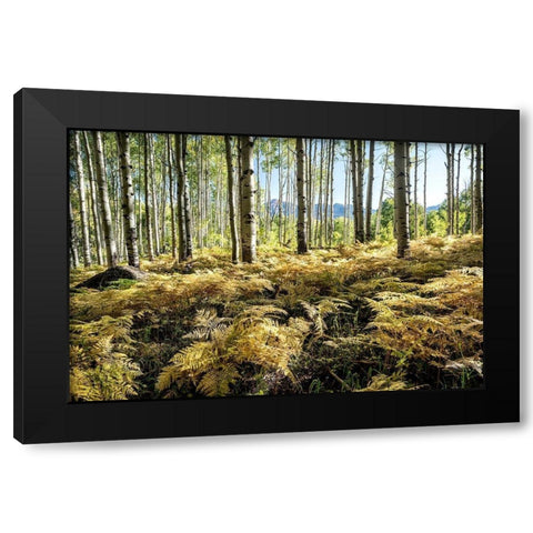 Golden Ferns Black Modern Wood Framed Art Print by Head, Danny