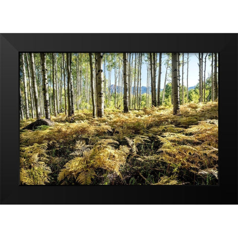 Golden Ferns Black Modern Wood Framed Art Print by Head, Danny