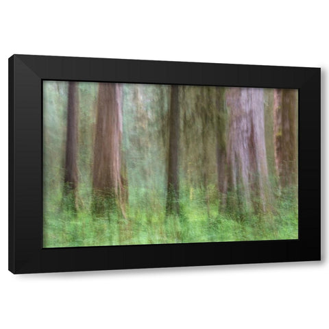 Woodland Abstract Black Modern Wood Framed Art Print by Head, Danny