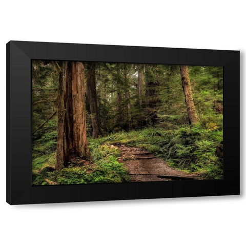 The Forest Calls Black Modern Wood Framed Art Print by Head, Danny