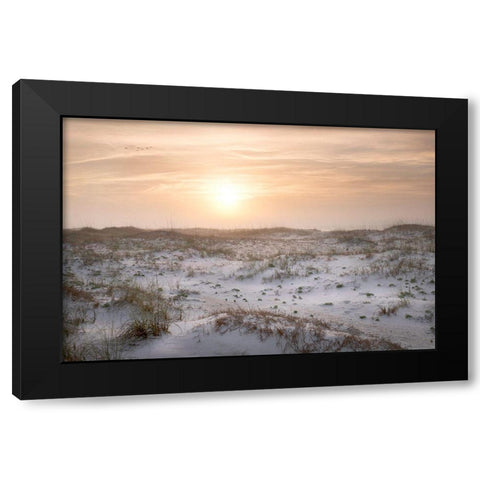 Six Birds Black Modern Wood Framed Art Print with Double Matting by Head, Danny