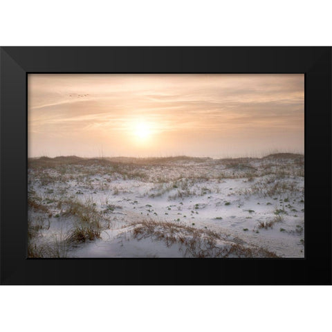 Six Birds Black Modern Wood Framed Art Print by Head, Danny