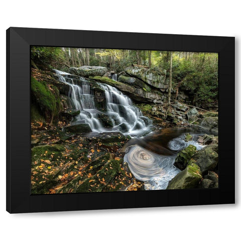 Swirls Black Modern Wood Framed Art Print by Head, Danny