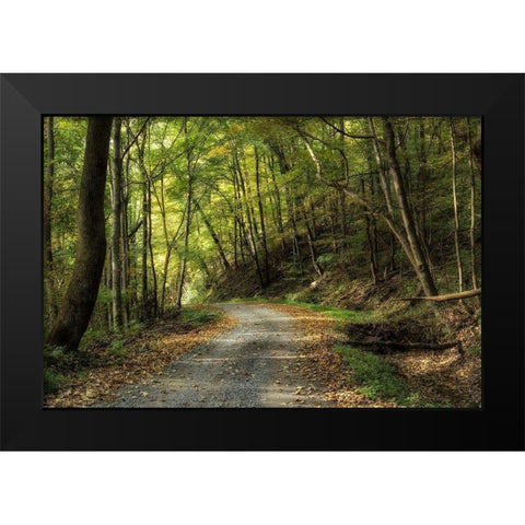 All Down Hill Black Modern Wood Framed Art Print by Head, Danny
