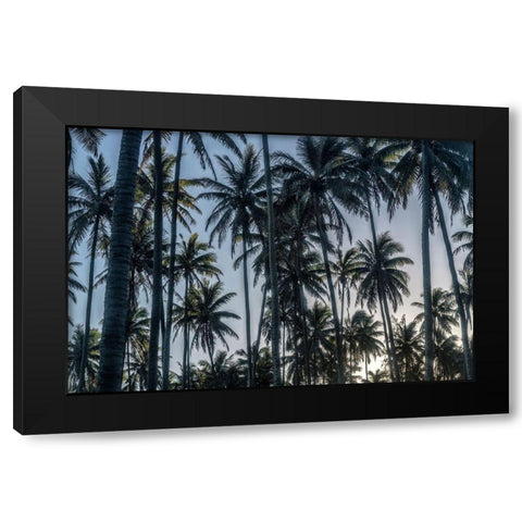 Palm Grove I Black Modern Wood Framed Art Print with Double Matting by Head, Danny