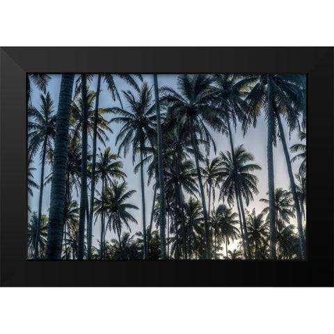 Palm Grove I Black Modern Wood Framed Art Print by Head, Danny
