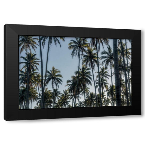 Palm Grove II Black Modern Wood Framed Art Print by Head, Danny