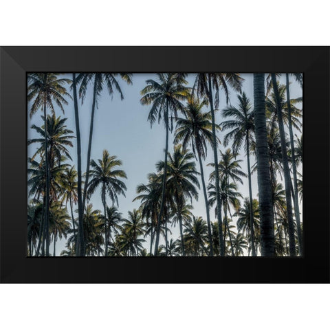Palm Grove II Black Modern Wood Framed Art Print by Head, Danny