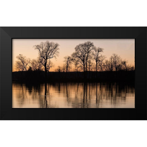 Island Reflections Black Modern Wood Framed Art Print by Head, Danny